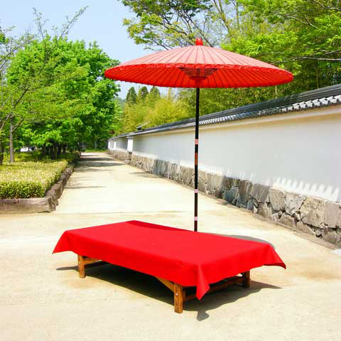 mousen japanese carpet